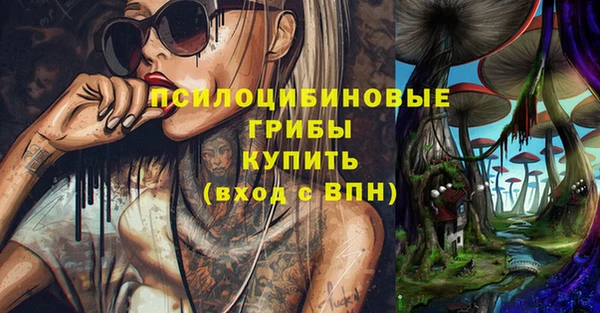 твердый Кодинск