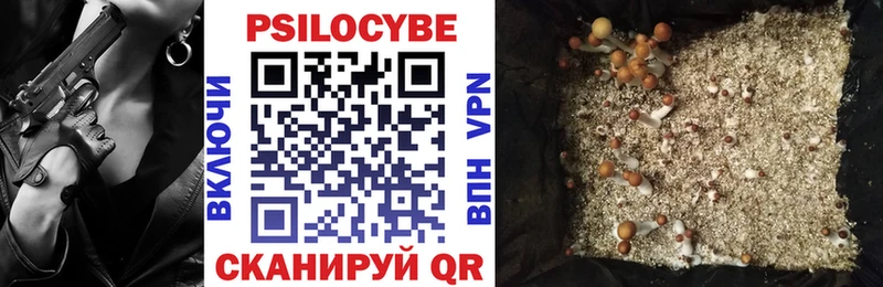 Галлюциногенные грибы мицелий  Купить закладки  Верхняя Тура 